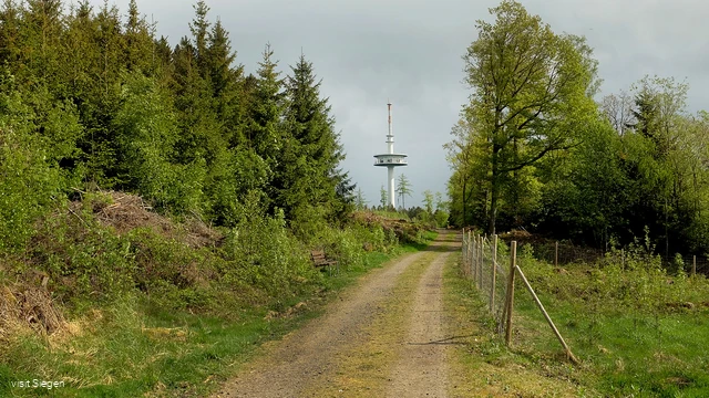Funkturm auf der Eisernhardt in Siegen, höchster Punkt der Stadt