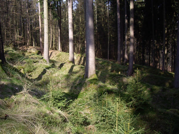 Mehrere Hohlwege im "Fröhninger Holz" nebeneinander (Foto: Katrin Stein)